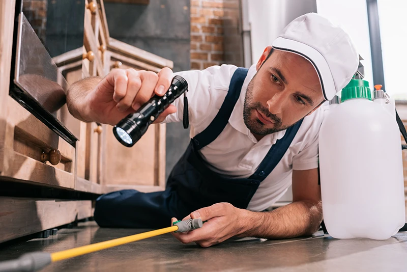 moventumfleetmanagement industry pestcontrol adobestock 213598530 scaled